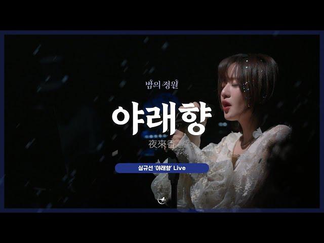 심규선 '야래향 夜來香' LIVE｜2022 심규선 단독 콘서트 '밤의 정원 : ENCORE'