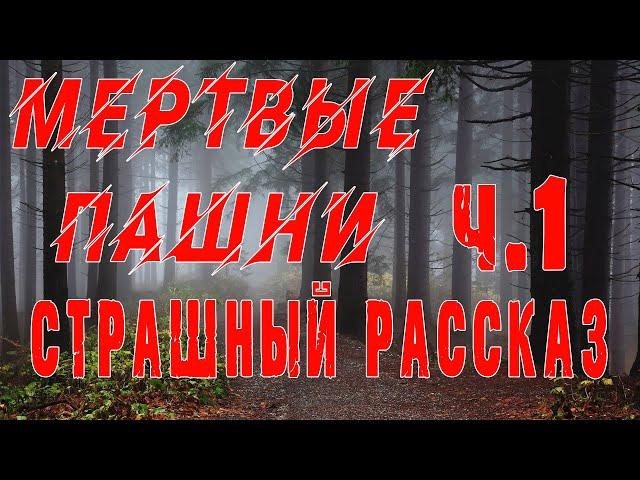 СТУДЕНТЫ В ОПАСНОСТИ, чуть не ПОГИБЛИ.. - часть 1 - Мистика - Зомби - Страшные истории на ночь