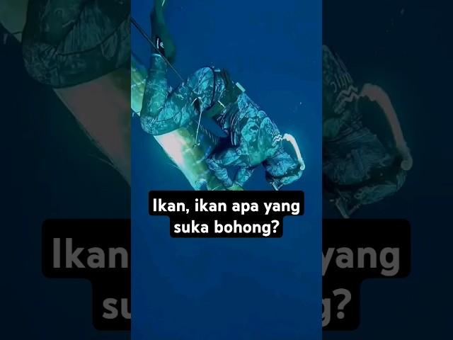 inilah ikan yang paling kenceng dilautan!! #faktaunik #ikan #mancing #ikanmarlin #laut #mancingmania