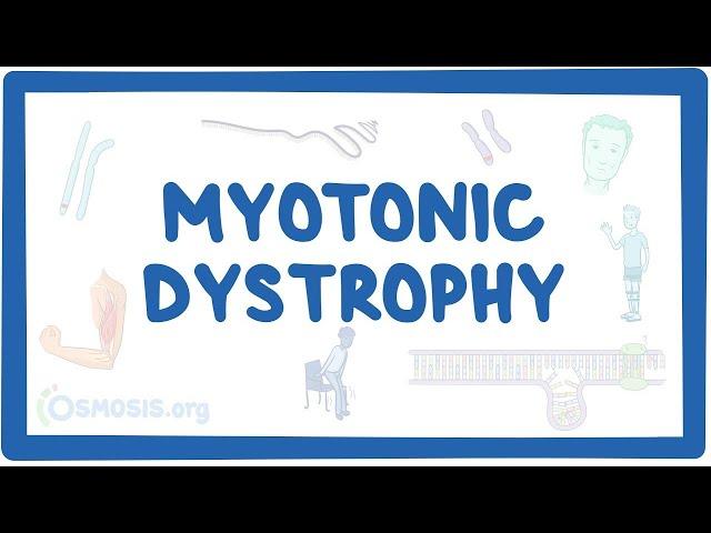 Myotonic dystrophy - an Osmosis Preview