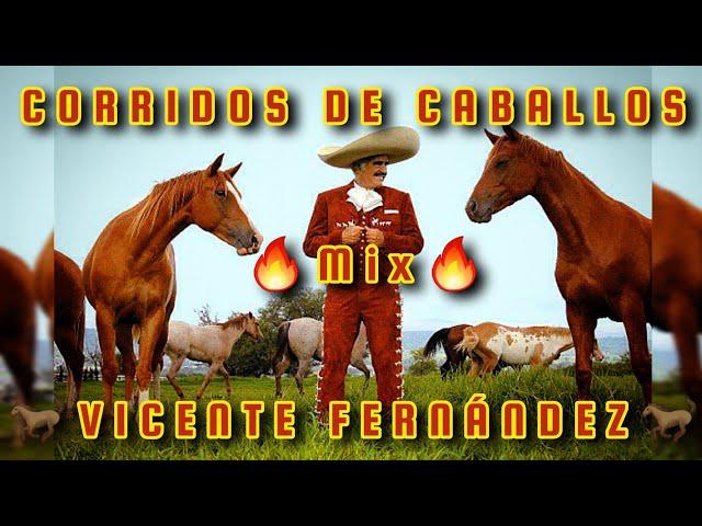 MIX VICENTE FERNANDEZ CORRIDOS DE CABALLOS   