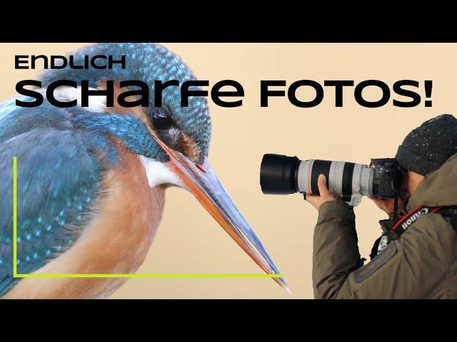 10 Tipps für scharfe Fotos