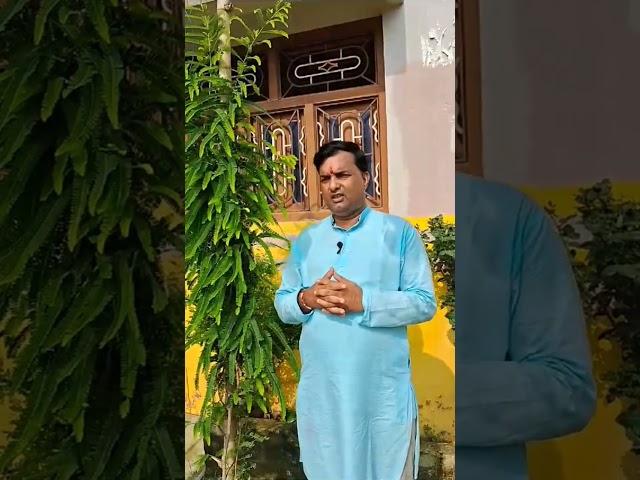 Manoj sir ne Rakshabamdhanke subhavsar PR ped lgaye hai