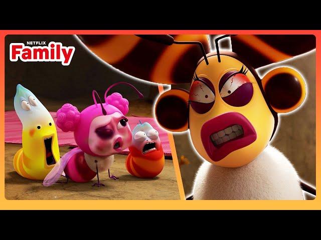 Larva Battle for the Beehive | Larva Family | Netflix Family