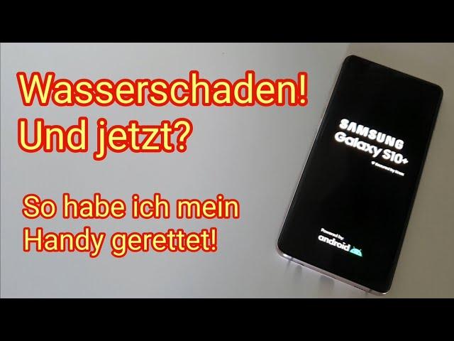 Wasserschaden am Smartphone - Handy in Pool oder Klo/Toilette gefallen - Samsung Galaxy S10 Plus