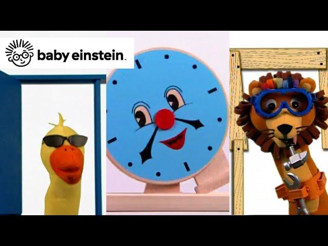 Baby Newton | Baby Einstein Classics | Learning Show for Toddlers | STEM for Toddler | Science kid