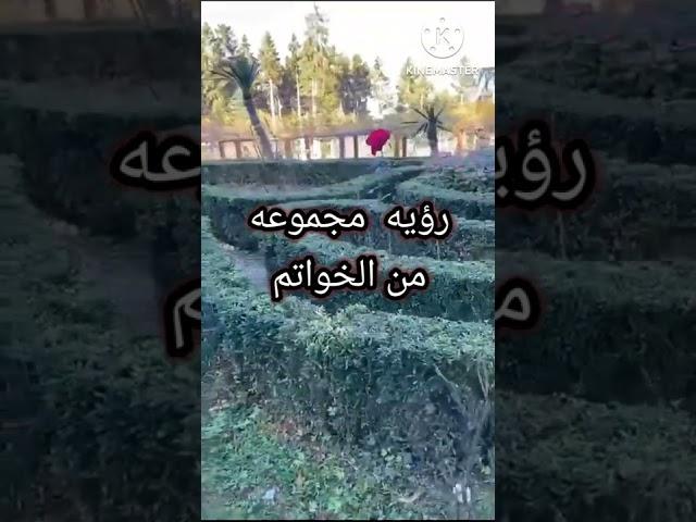 رؤيه مجموعه من الخواتم في المنام