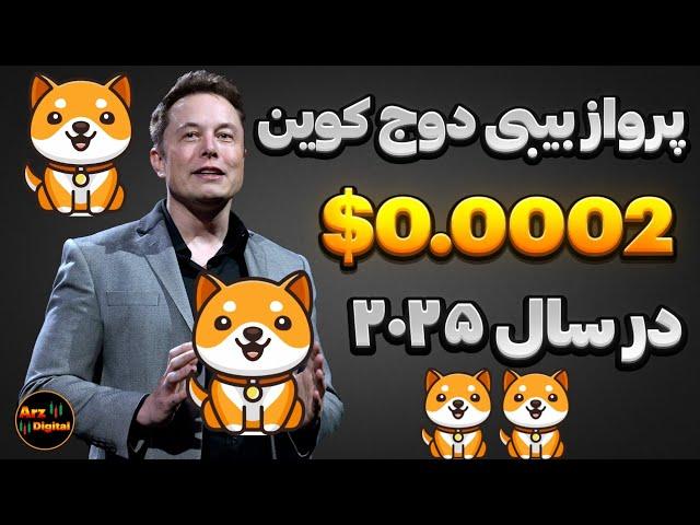 قیمت بیبی دوج 0.0002$ در سال ۲۰۲۵؟ | انفجار بیبی دوج در راه است؟