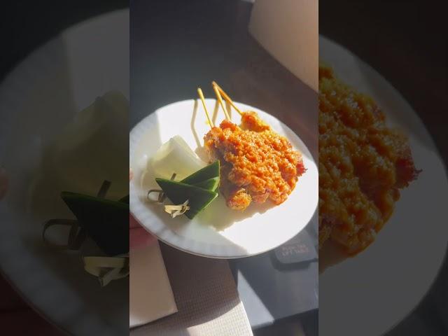 Satay in the Sky! Singapore Airlines Business Class #harpazo Lord Jesus come again!