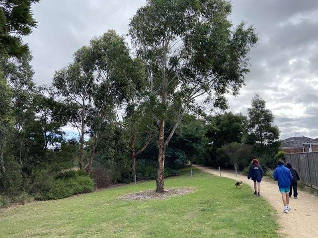 Taylors Creek Walking Track (Wallan)