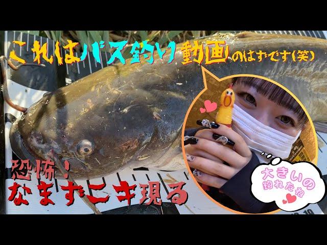 ブラックバス釣り‼今年の初フィッシュは・・・(笑)冬の埼玉荒川.びん沼川.入間川でバス釣り!夜釣りもしたよ。鯰なまずcatfishゲットだぜ。blackbassfishing Japanfishing