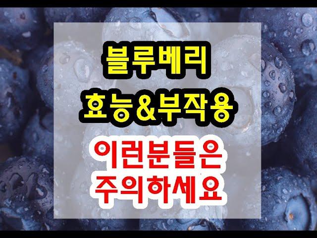 세계 10대 슈퍼푸드 블루베리 효능과 부작용 잘 알고 드셔야해요~