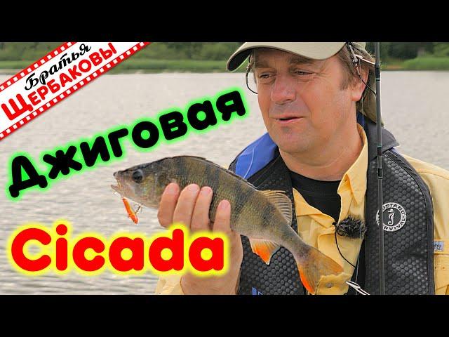 ЦИКАДЫ (Cicada), раттлины и вибы (VIB) – отличные ДЖИГОВЫЕ ПРИМАНКИ!