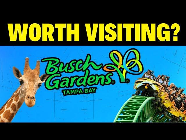 Busch Gardens Tampa Review & Must-Know Tips! Is It Worth Visiting?