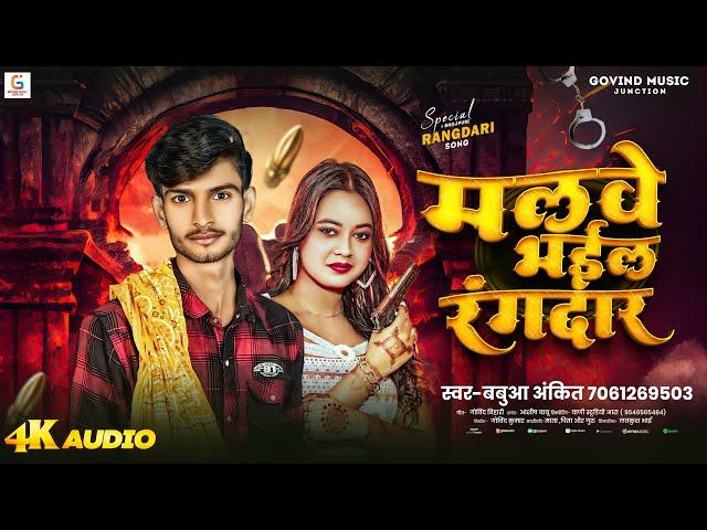 मलवे भईल रंगदार | #Babua Ankit | Malwe Bhail Rangdar | Superhit New #Bhojpuri Song 2024