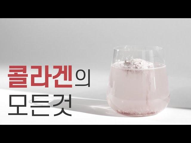 콜라겐 총정리 종류, 용도, 흡수율, 복용법