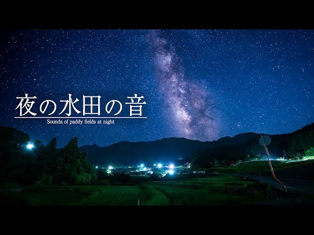 【Sounds of Japan】Sounds of Japanese rice paddies at night.