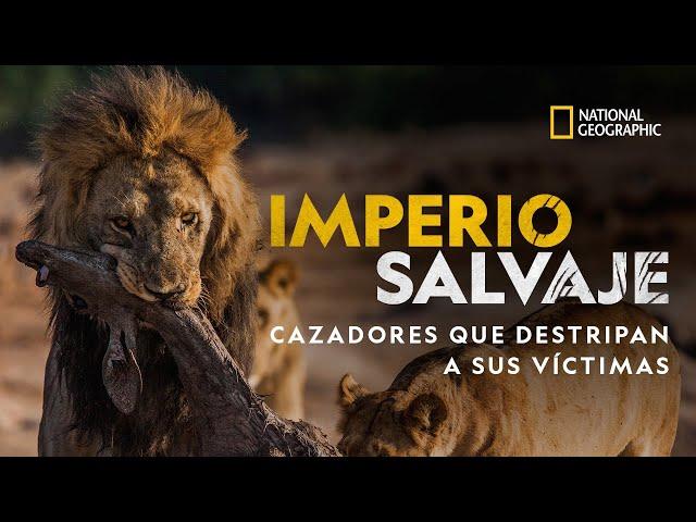 Imperio Salvaje: Cazadores que destripan a sus víctimas