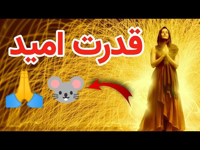 آزمایشی که قدرت باور رو اثبات کرد  ️‍️ قدرت ایمان و اراده ‍