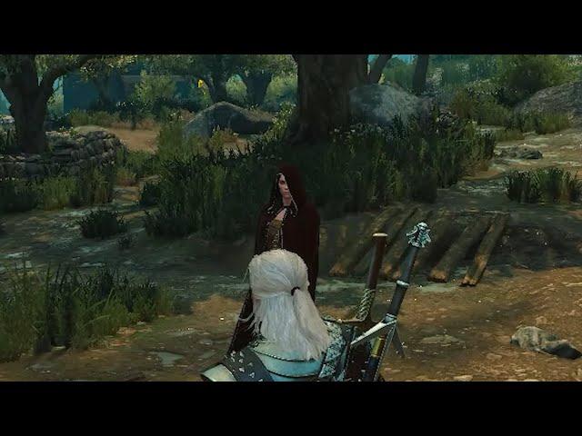 If You See Hooded Women In Toussaint DO THIS !! Witcher 3