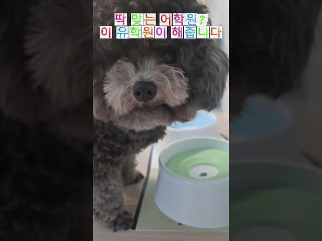 캐나다 유학원 추천? 등록만 해주는 데는 이제 그만!