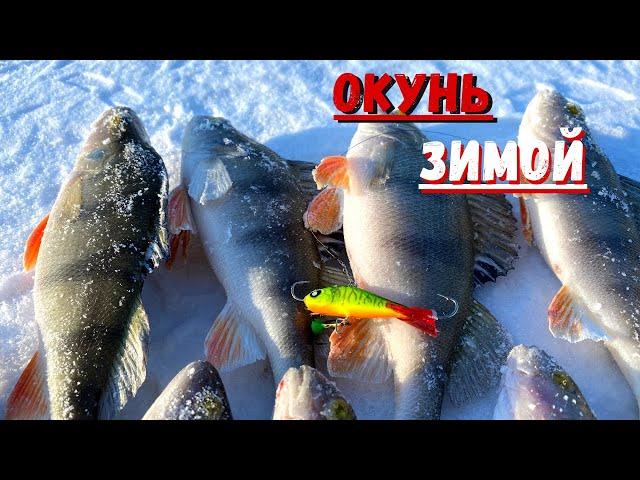 ЗИМНЯЯ РЫБАЛКА . ОКУНЬ НА БАЛАНСИР
