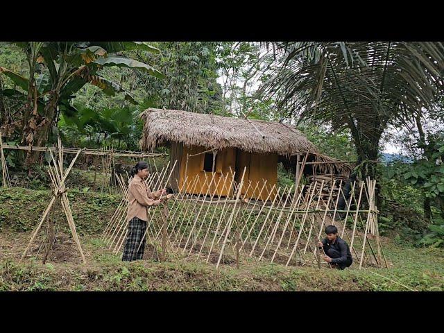 The homeless boy and the poor girl cut down trees to make a bean garden-Homless boy