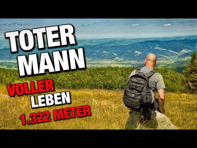 Ein Gipfel voller Leben  Toter Mann Wanderung  im Schwarzwald