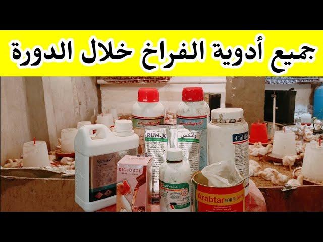 جميع الأدوية و التحصينات المستخدمة في دورة الفراخ البيضاء