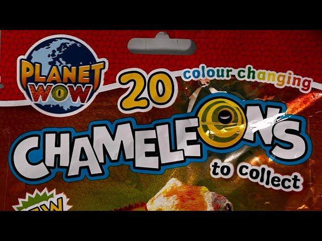 Planet WOW Chamäleon Sammelfiguren