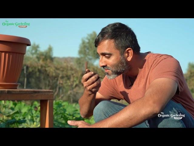 Garden with Experts - 'The Organic Gardening Expert' - Video + Mentorship for Middle East Gardeners