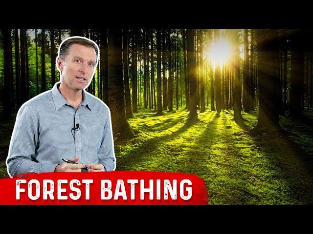 Use Forest Bathing for Immune Boosting