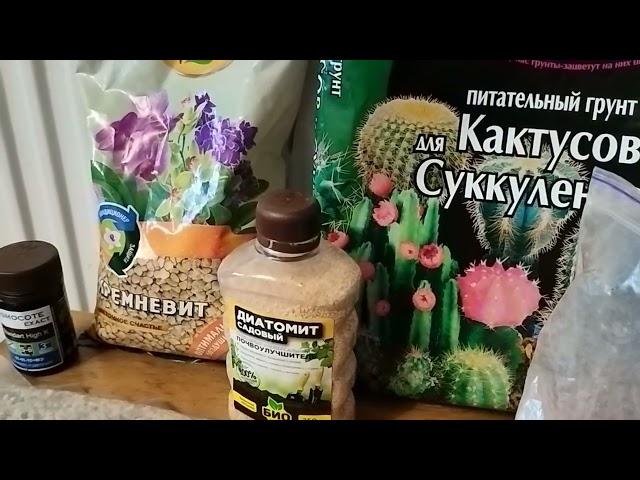 Грунт для Суккулентов!