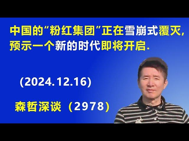 中国的“粉红集团”正在 雪崩式覆灭：预示一个“新的时代”即将开启. (2024.12.16) 《森哲深谈》