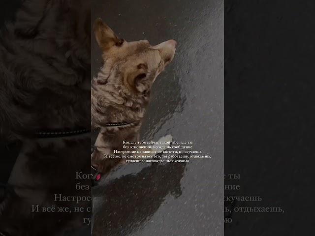 Здесь искренне с любовью @angelina_producerr