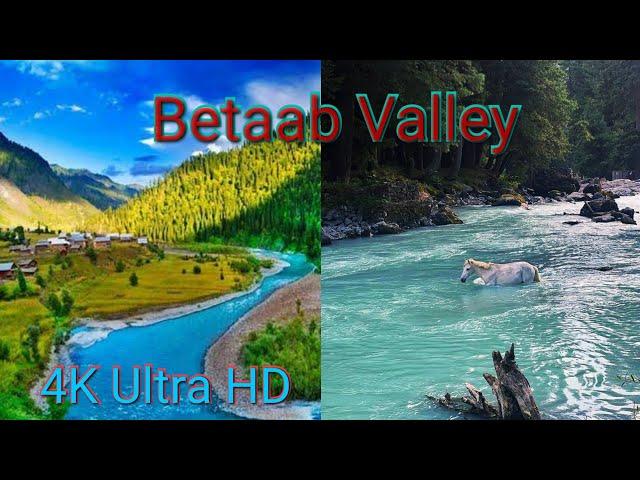 Betaab Valley 4K, Ultra HD | Betaab Valley, Pahalgam | Pahalgam-Gem Of Kashmir