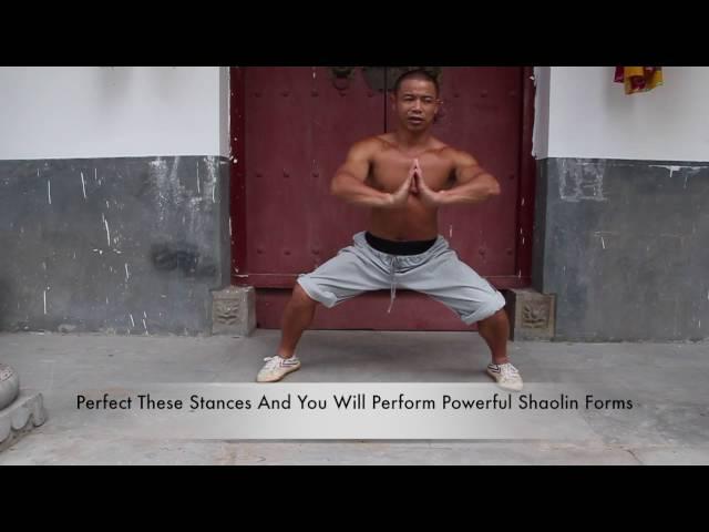 Shaolin 5 Fundamental Stances