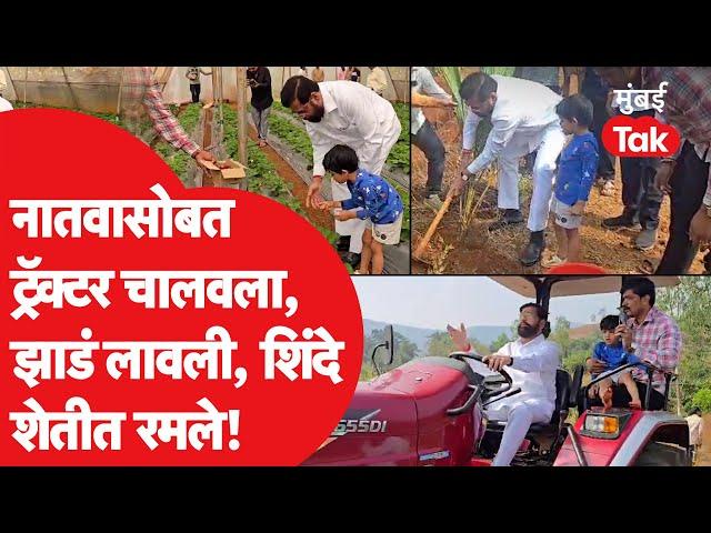 Eknath Shinde दरेगावात, नातू Rudransh सोबत केली शेती, ट्रॅक्टर चालवला| Dare Satara | Shrikant Shinde