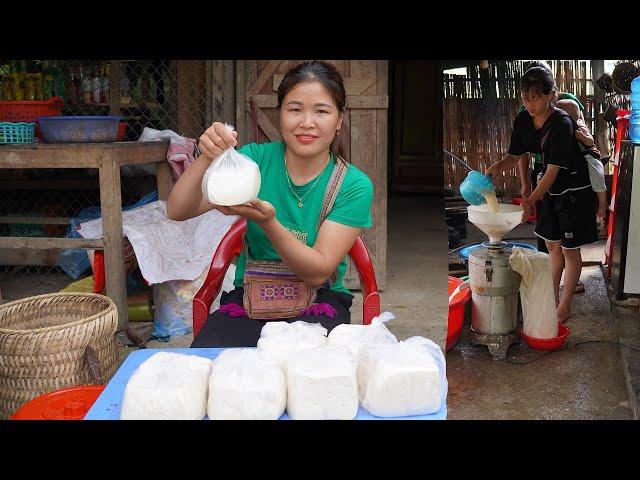 Soybeans and the traditional process of making tofu for sale - Cooking