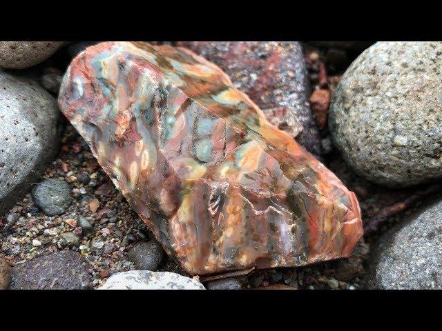 Oregon Only Stones: RockHounding Opal Jasper Agate 2019