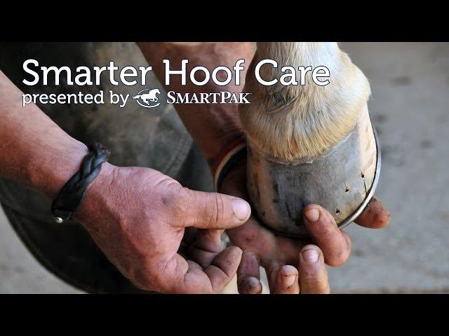 Smarter Hoof Care