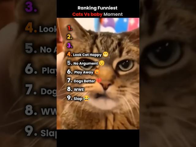 Ranking Funniest Cat Vs baby Moment