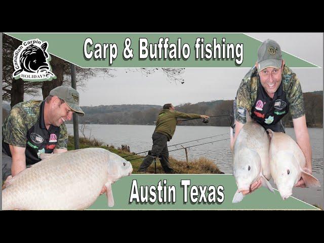 65lb+ Buffalo fish with Loads of 40s in Texas, USA