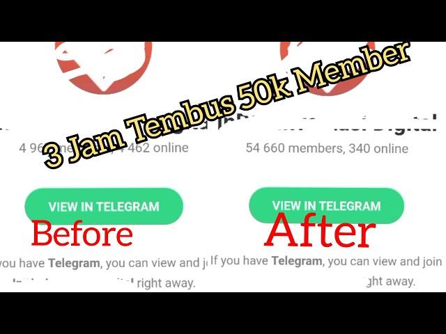 Cara Menambahkan Member Telegram Dengan Cepat