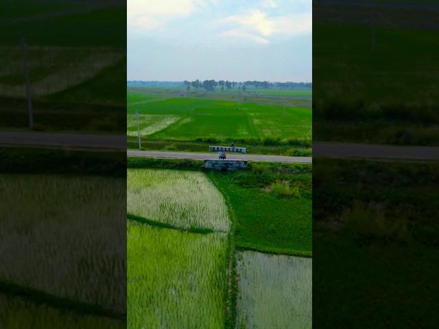 village drone view  #shorts #drone #dronevideo #edituwant #djimini3pro