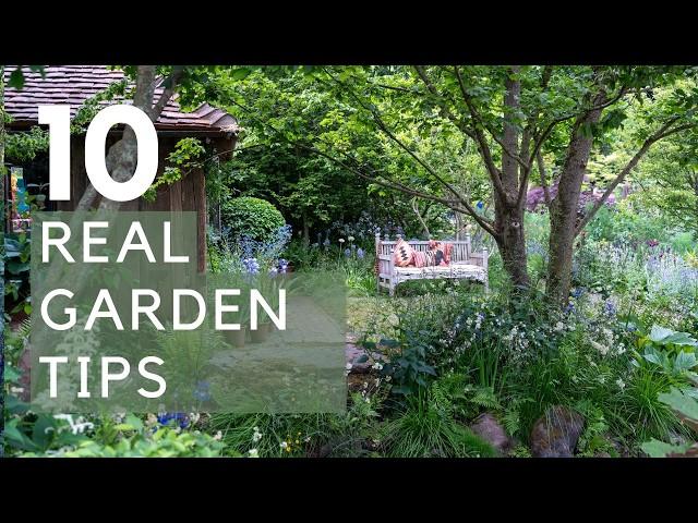RHS Chelsea 2025: Woodland, Shade & Cottage Garden Themes for Your Garden