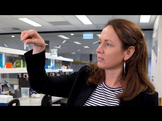 How does a DNA sequencing machine work?