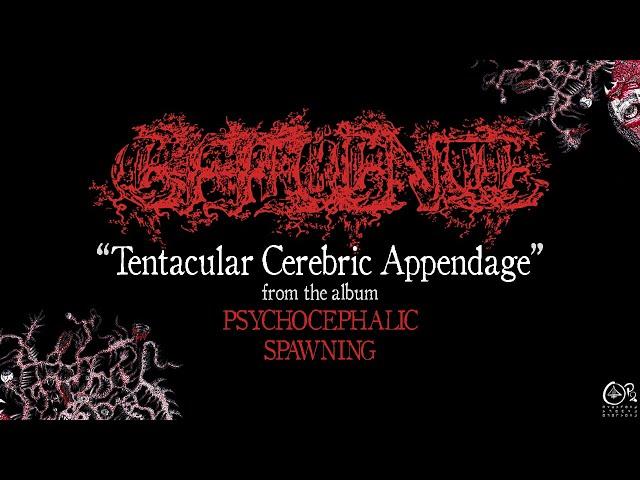 Effluence - Tentacular Cerebric Appendage [Song Premiere]