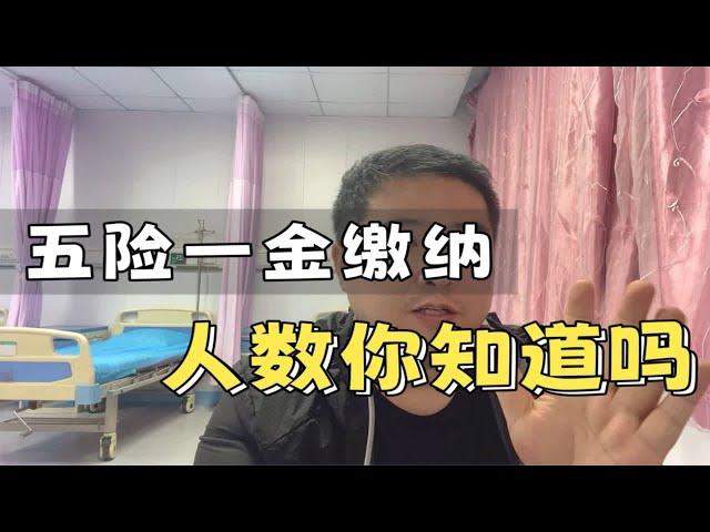 五险一金缴纳人数，你知道吗？