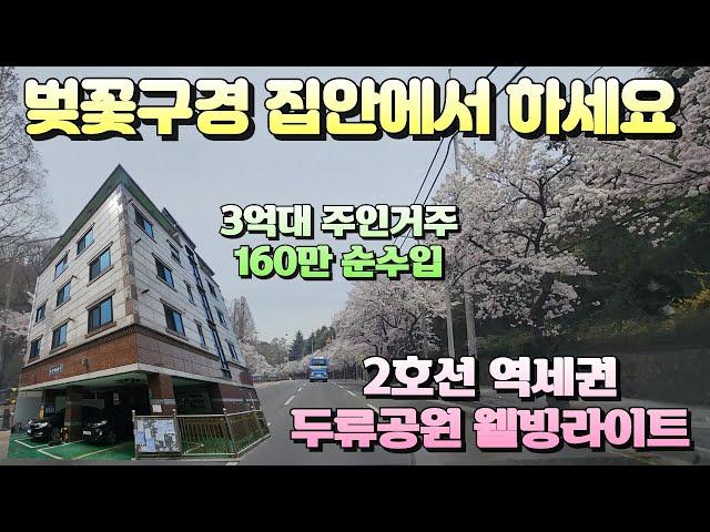 [대구원룸매매]땡땡이 치고 꽃놀이 가서 발견한 엄청난 집 2호선 역세권 고수익 웰빙 다가구주택